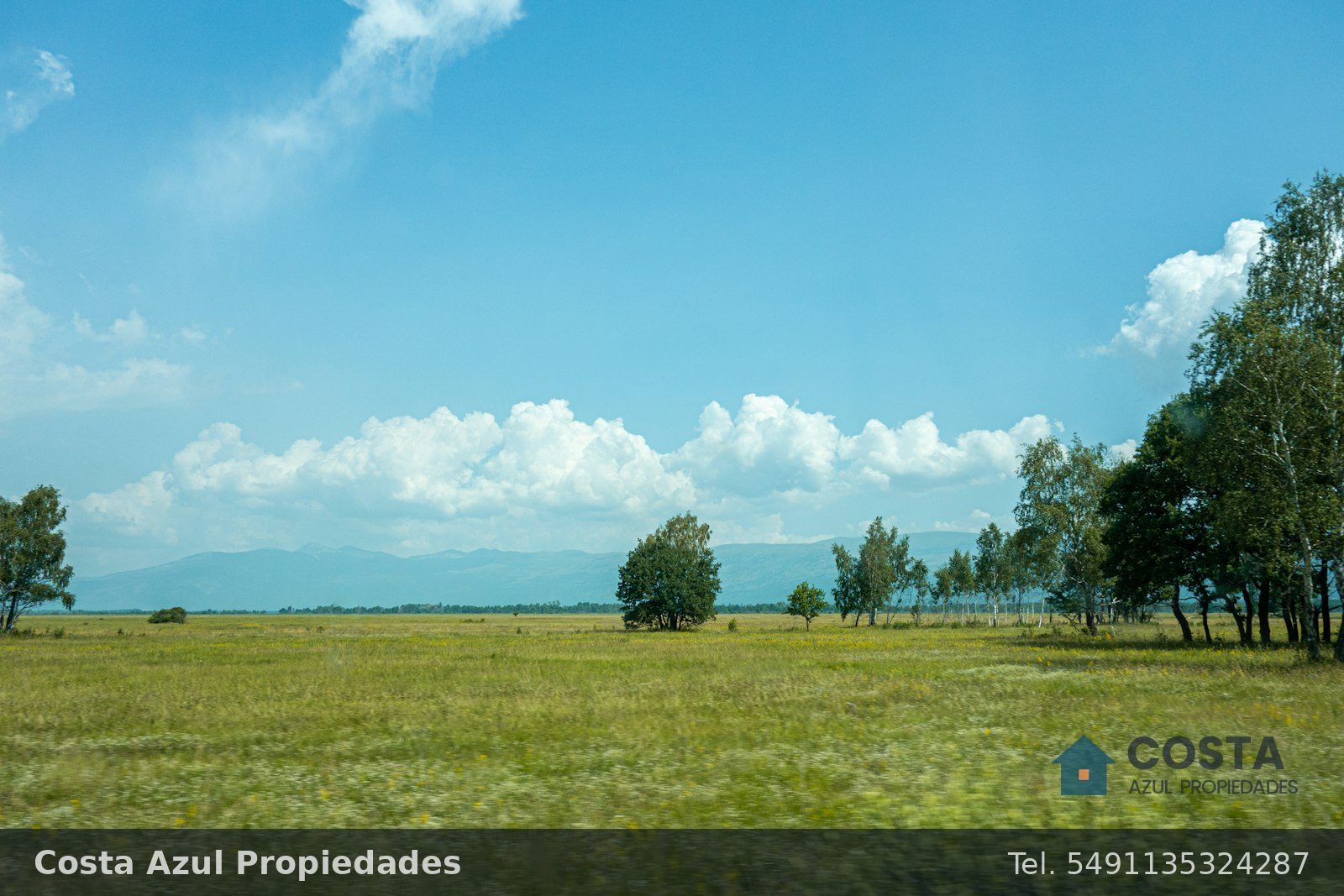 Campo mixto de 210 hectáreas en Balcarce, foto 2