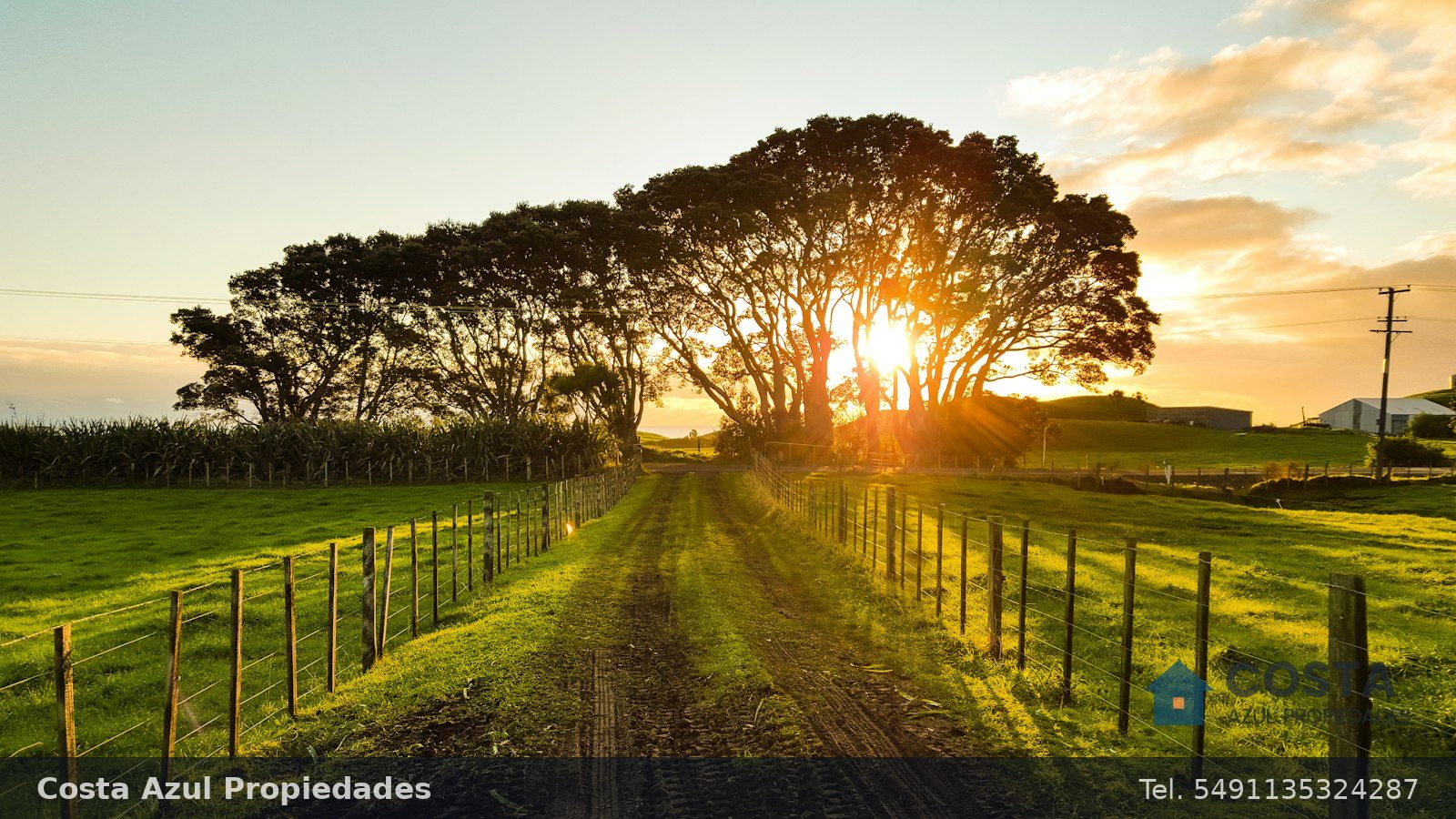 Campo mixto de 210 hectáreas en Balcarce, foto 3
